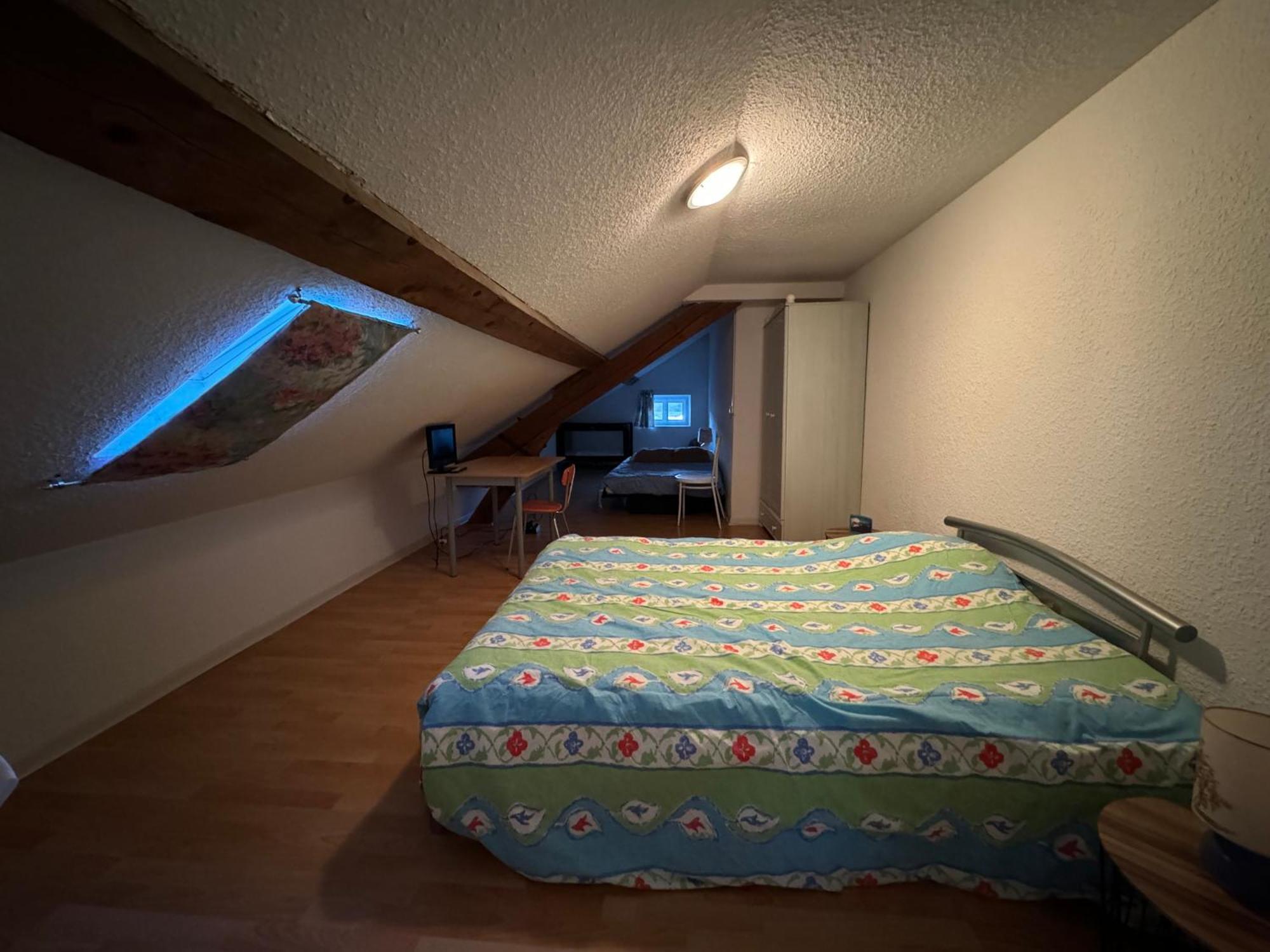 Appartement Logis Balneen Bains-les-Bains Luaran gambar