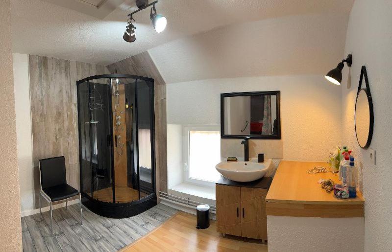 Appartement Logis Balneen Bains-les-Bains Luaran gambar